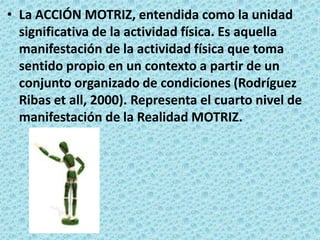 La ACCIÓN MOTRIZ, entendida como la unidad significativa de la actividad física. Es aquella manifestación de la actividad física que toma sentido propio en un contexto a partir de un conjunto organizado de condiciones (Rodríguez Ribas et all, 2000). Representa el cuarto nivel de manifestación de la Realidad MOTRIZ.
