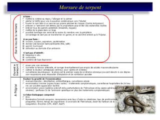 Morsure de serpent 