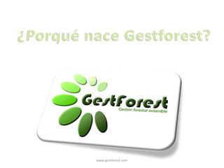www.gestforest.com
 