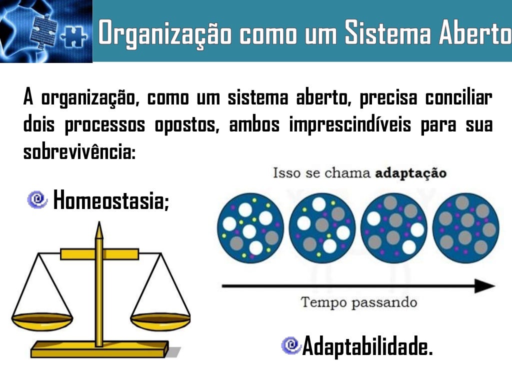 Relacione Os Conceitos Referentes A Sistemas A Seguir E Depois