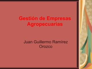 Gestión de Empresas Agropecuarias Juan Guillermo Ramírez Orozco 