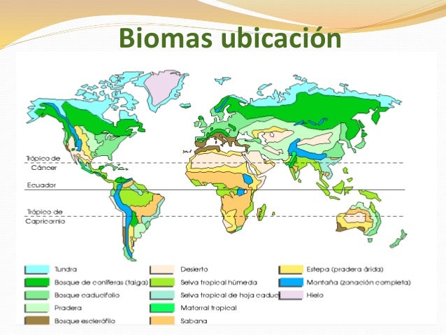 cuales son los ecosistemas terrestres de colombia hoy