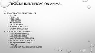 TIPOS DE IDENTIFICACION ANIMAL
A) POR CARACTERES NATURALES
• RESEÑA
• SILUETADO
• FOTOGRAFIA
• NASOGRAMA
• PALETOGRAMA
• HUELLAS PLANTARES
• GRUPOS SANGUINEOS
B) POR SIGNOS ARTIFICIALES
• MARCADO POR FUEGO
• MARCADO POR FRIO
• MARCADO POR CORROSION
• INCISIONES Y MUTILACIONES
• APLIQUES O MARCAS FIJAS
• TATUAJE
• MARCAS CON MANCHAS DE COLORES
 