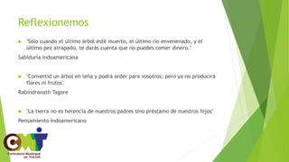 Reflexionemos
 "Sólo cuando el último árbol esté muerto, el último río envenenado, y el
último pez atrapado, te darás cuenta que no puedes comer dinero."
Sabiduría indoamericana
 "Convertid un árbol en leña y podrá arder para vosotros; pero ya no producirá
flores ni frutos"
Rabindranath Tagore
 "La tierra no es herencia de nuestros padres sino préstamo de nuestros hijos"
Pensamiento Indoamericano
 
