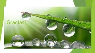 Gracias!
 
