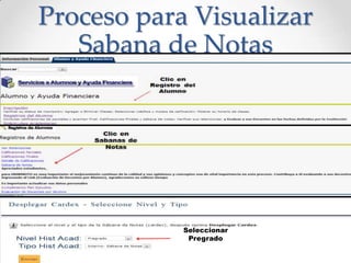 Proceso para Visualizar
Sabana de Notas
Seleccionar
Pregrado
 