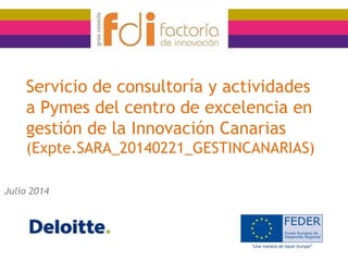 Servicio de consultoría y actividades
a Pymes del centro de excelencia en
gestión de la Innovación Canarias
(Expte.SARA_20140221_GESTINCANARIAS)
Julio 2014
 