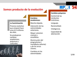 La hominización
Proceso evolutivo
que empezó hace
unos 6,5 millones
de años.
Se produjeron
cambios
anatómicos,
psíquicos y
culturales.
Cambios
anatómicos:
Marcha bípeda.
Liberación de las
extremidades
anteriores.
Mayor volumen
craneal y
encefálico.
Disminución del
prognatismo (
mandíbula saliente)
y de los arcos
ciliares.
Cambios en las
extremidades
Cambios psíquicos
Control de las
conductas
instintivas.
Lenguaje.
Racionalidad.
Inteligencia.
Capacidad de
abstracción
Somos producto de la evolución
5/49
 