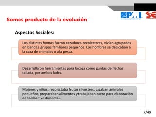 Aspectos Sociales:
Los distintos homos fueron cazadores-recolectores, vivían agrupados
en bandas, grupos familiares pequeños. Los hombres se dedicaban a
la caza de animales o a la pesca.
Desarrollaron herramientas para la caza como puntas de flechas
tallada, por ambos lados.
Mujeres y niños, recolectaba frutos silvestres, cazaban animales
pequeños, preparaban alimentos y trabajaban cuero para elaboración
de toldos y vestimentas.
Somos producto de la evolución
7/49
 