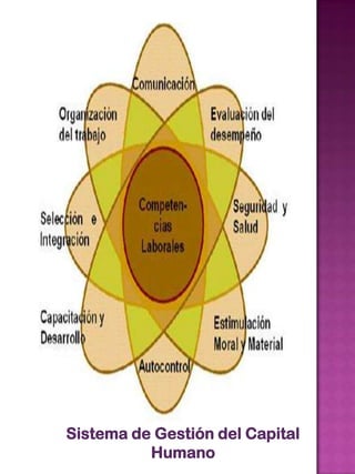 Sistema de Gestión del Capital
Humano

 