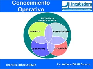 Conocimiento Operativo ESTRATEGIA ORGANIZACIONAL PROCESOS NORMATIVAS TECNOLOGÍA COMPETENCIAS 