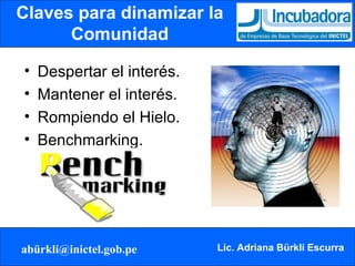 Claves para dinamizar la Comunidad Despertar el interés. Mantener el interés. Rompiendo el Hielo. Benchmarking. 