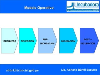 Modelo Operativo PRE- INCUBACION INCUBACION  POST – INCUBACION BÚSQUEDA SELECCION 