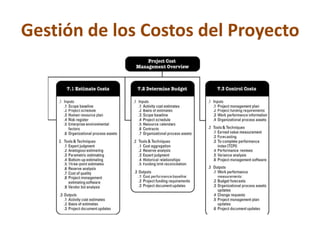 Gestión de los Costos del Proyecto
 