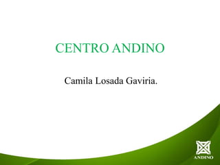 CENTRO ANDINO
Camila Losada Gaviria.
 