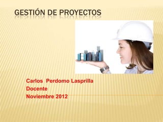 GESTIÓN DE PROYECTOS
Carlos Perdomo Lasprilla
Docente
Noviembre 2012
 