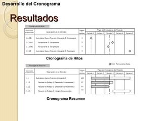 Desarrollo del Cronograma

Resultados

Cronograma de Hitos

Cronograma Resumen

 