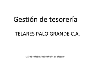 Gestión de tesorería
TELARES PALO GRANDE C.A.


   Estado consolidados de flujos de efectivo
 