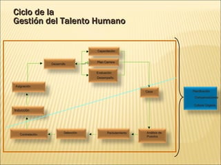 Análisis de Puestos Reclutamiento Selección Contratación Asignación Desarrollo Capacitación Plan Carrera Evaluación Desempeño Cese Planificación   Compensaciones Cultura Organiz . Ciclo de la  Gestión del Talento Humano Inducción 