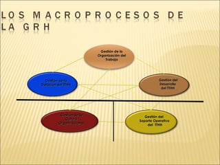 Gestión de la Organización del  Trabajo Gestión de la Cultura  Organizacional Gestión del Desarrollo  del TTHH  Gestión de la Dotación del TTHH Gestión del  Soporte Operativo del  TTHH 