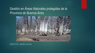 Gestión en Áreas Naturales protegidas de la
Provincia de Buenos Aires
DIRECTOR : DANIEL NOVOA.
 