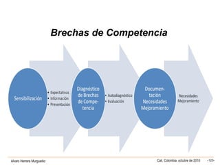 Alvaro Herrera Murgueitio Cali, Colombia, octubre de 2010 -123-
Brechas de Competencia
 