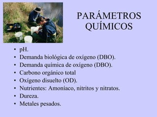 PARÁMETROS QUÍMICOS pH. Demanda biológica de oxígeno (DBO). Demanda química de oxígeno (DBO). Carbono orgánico total Oxígeno disuelto (OD). Nutrientes: Amoníaco, nitritos y nitratos. Dureza. Metales pesados. 