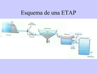 Esquema de una ETAP 