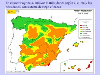En el sector agrícola, cultivar lo más idóneo según el clima y las ncesidades, con sistema de riego eficaces 