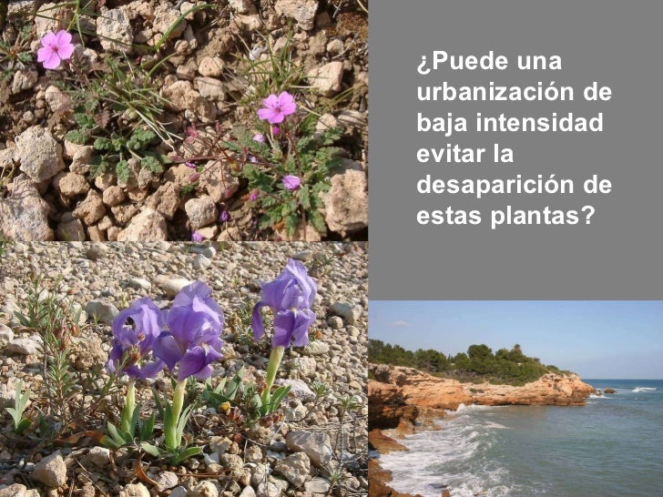 Gestión de espacios litorales