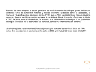 Además, de forma singular, el sector ganadero, se ve cíclicamente afectado por graves incidencias
sanitarias. Sirva de curiosidad histórica y técnica enumerar epizootias como la glosopeda, la
neumonía y la peste porcina clásica en cerdos (PPC) que en 1977 y procedente de holanda causaría
estragos y forzaría sacrificios masivos; en aves, la parálisis de Merck, bronquitis infecciosas, la tifosis,
el CRD, la peste aviar o salmonelosis, la leucosis; o la pasteurelosis en conejos; o las posteriores
patologías facilitadas por la apertura de las fronteras, como BVD o hemophilus en terneros.
FUNDAMENTOS DE INVESTIGACION 11
La larinjotraqueitis y el síndrome reproductor porcino; por no hablar de las Vacas locas en 1996,
incluso de la absurda crisis de las dioxinas en los pollos en 1999. y de nuevo las vacas locas en el 2001
 