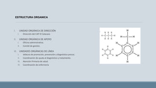 ESTRUCTURA ORGANICA
I. UNIDAD ORGÁNICA DE DIRECCIÓN
I. Dirección del CAP III Catacaos
II. UNIDAD ORGÁNICA DE APOYO
I. Oficina administrativa.
II. Comité de gestión.
III. UNIDADES ORGÁNICAS DE LÍNEA
I. Jefatura de promoción, prevención y diagnóstico precoz.
II. Coordinación de ayuda al diagnóstico y tratamiento.
III. Atención Primaria de salud.
IV. Coordinación de enfermería
 