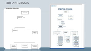 ORGANIGRAMA
 