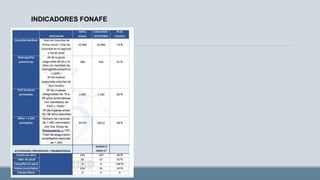 INDICADORES FONAFE
 