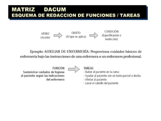 MATRIZ  DACUM ESQUEMA DE REDACCION DE FUNCIONES / TAREAS  