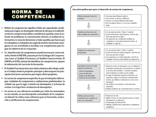 NORMA  DE COMPETENCIAS 