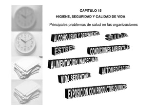 Principales problemas de salud en las organizaciones
CAPITULO 15
HIGIENE, SEGURIDAD Y CALIDAD DE VIDA
 