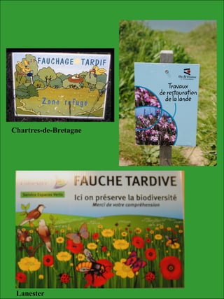 Lanester
Chartres-de-Bretagne
 