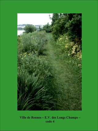 Ville de Rennes – E.V. des Longs Champs –
code 4
 