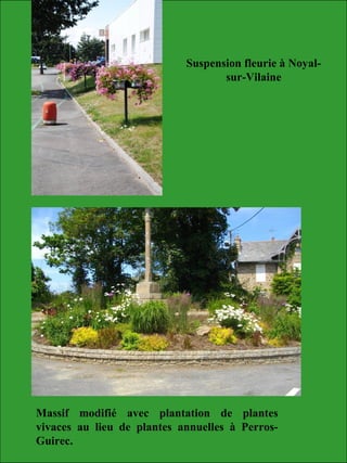 Massif modifié avec plantation de plantes
vivaces au lieu de plantes annuelles à Perros-
Guirec.
Suspension fleurie à Noyal-
sur-Vilaine
 