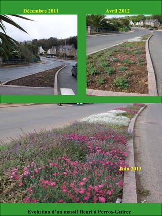 Décembre 2011 Avril 2012
Juin 2013
Evolution d’un massif fleuri à Perros-Guirec
 