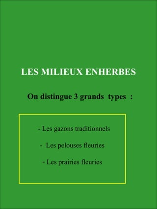 LES MILIEUX ENHERBES
- Les gazons traditionnels
- Les pelouses fleuries
- Les prairies fleuries
On distingue 3 grands types :
 