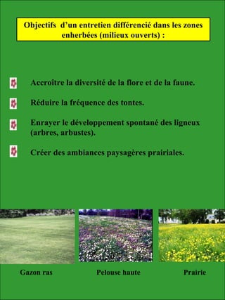 Accroître la diversité de la flore et de la faune.
Réduire la fréquence des tontes.
Enrayer le développement spontané des ligneux
(arbres, arbustes).
Créer des ambiances paysagères prairiales.
Objectifs d’un entretien différencié dans les zones
enherbées (milieux ouverts) :
Gazon ras Pelouse haute Prairie
 