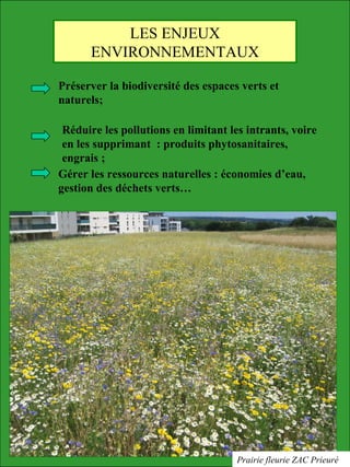 LES ENJEUX
ENVIRONNEMENTAUX
Préserver la biodiversité des espaces verts et
naturels;
Réduire les pollutions en limitant les intrants, voire
en les supprimant : produits phytosanitaires,
engrais ;
Gérer les ressources naturelles : économies d’eau,
gestion des déchets verts…
Prairie fleurie ZAC Prieuré
 