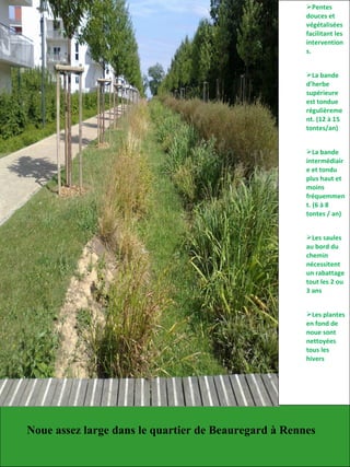 Pentes
douces et
végétalisées
facilitant les
intervention
s.
La bande
d’herbe
supérieure
est tondue
régulièreme
nt. (12 à 15
tontes/an)
La bande
intermédiair
e et tondu
plus haut et
moins
fréquemmen
t. (6 à 8
tontes / an)
Les saules
au bord du
chemin
nécessitent
un rabattage
tout les 2 ou
3 ans
Les plantes
en fond de
noue sont
nettoyées
tous les
hivers
Noue assez large dans le quartier de Beauregard à Rennes
 