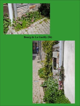 Bourg de La Gacilly (56)
 