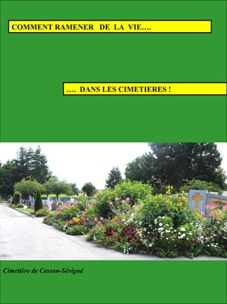 COMMENT RAMENER DE LA VIE….
…. DANS LES CIMETIERES !
Cimetière de Cesson-Sévigné
 