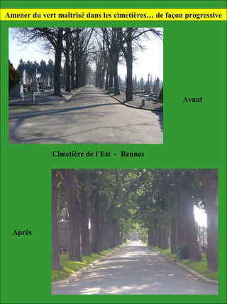 Avant
Après
Cimetière de l’Est - Rennes
Amener du vert maîtrisé dans les cimetières… de façon progressive
 