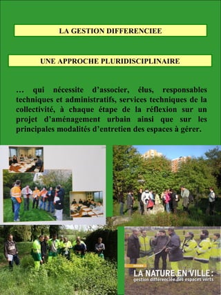 LA GESTION DIFFERENCIEE
UNE APPROCHE PLURIDISCIPLINAIRE
… qui nécessite d’associer, élus, responsables
techniques et administratifs, services techniques de la
collectivité, à chaque étape de la réflexion sur un
projet d’aménagement urbain ainsi que sur les
principales modalités d’entretien des espaces à gérer.
 