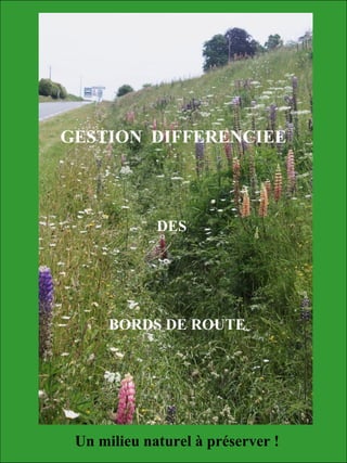 GESTION DIFFERENCIEE
DES
BORDS DE ROUTE
Un milieu naturel à préserver !
 
